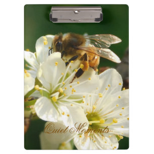 Porte-bloc d'étude de la nature Fleur de prunier A
