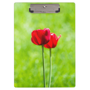 Porte-bloc Deux fleurs de tulipe rouge