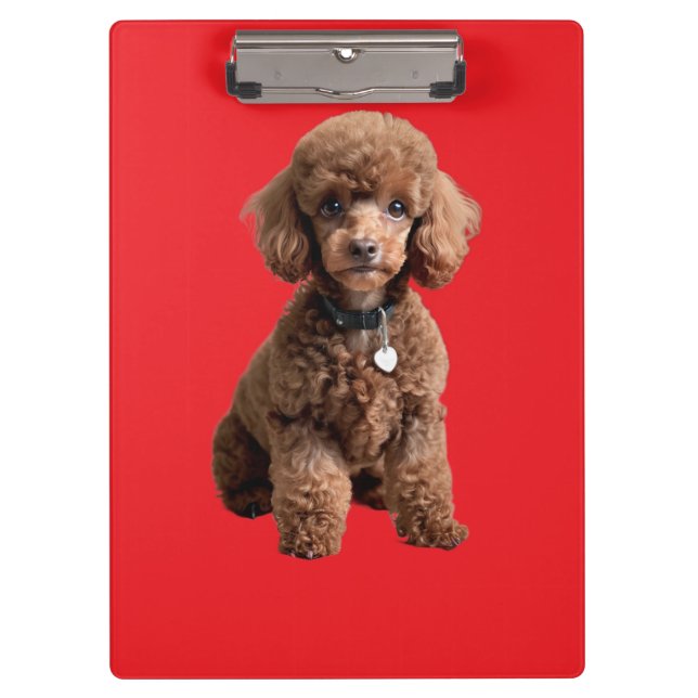 Porte-bloc Dossier rouge de caniche de thé mignon (Devant)