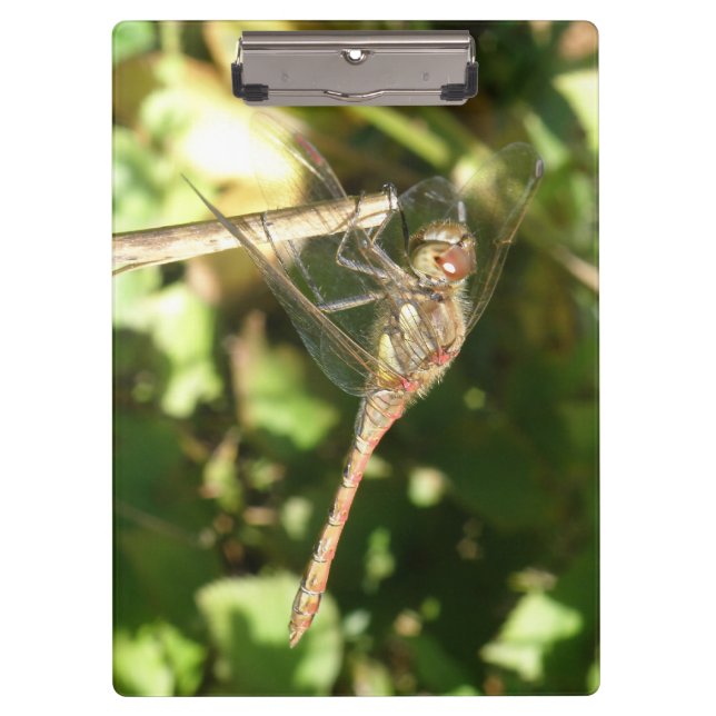Porte-bloc Dragonfly sur un Porte - bloc de Twig (Devant)