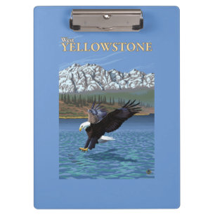 Porte-bloc Eagle chauve plongeant - Yellowstone occidental,