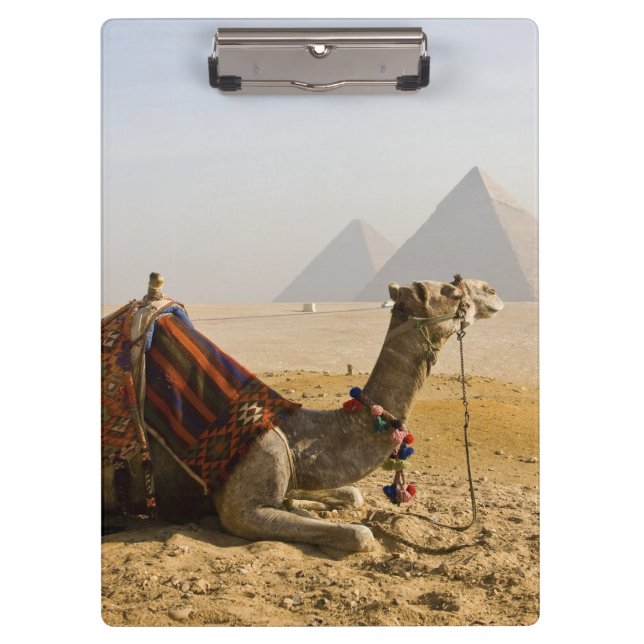 Porte-bloc Égypte, Le Caire. Un chameau solitaire (Devant)