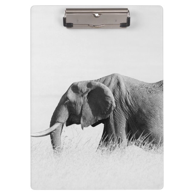 Porte-bloc Eléphant solitaire (clé haute) (Devant)