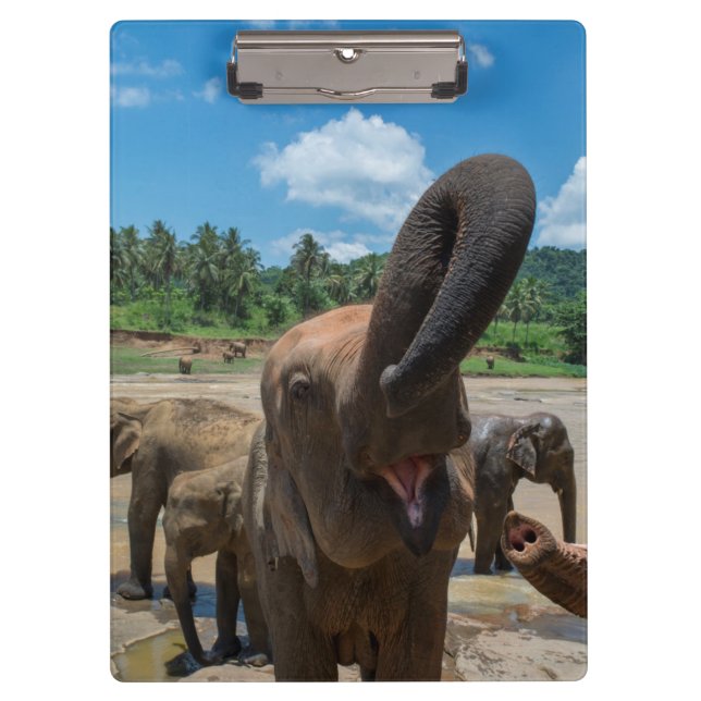 Porte-bloc Éléphant Sri Lanka (Devant)