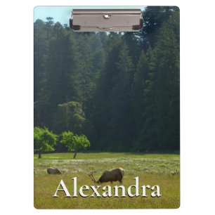 Porte-bloc Elk Meadow at Redwood National Park
