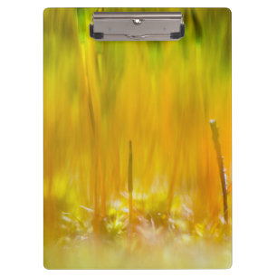 Porte-bloc Épouses colorées