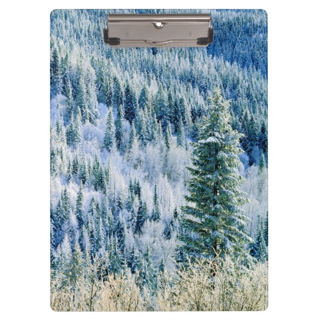 Porte-bloc États-Unis, Washington, Mt. Spokane State Park, As (Devant)