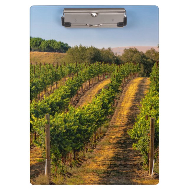 Porte-bloc États-Unis, Washington oriental, vignobles Walla W (Devant)