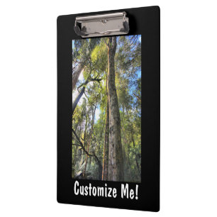Porte-bloc Eucalyptus gommiers de la forêt pluviale australie