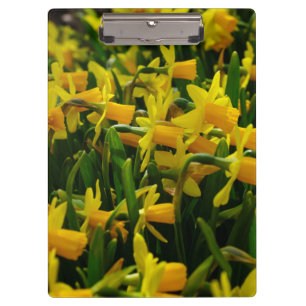 Porte-bloc Famille Daffodil