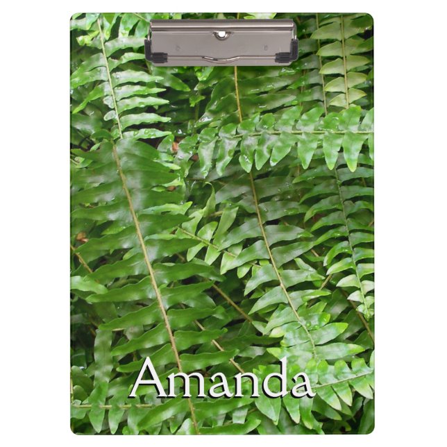 Porte-bloc Fermer Fronds I Green Nature (Devant)