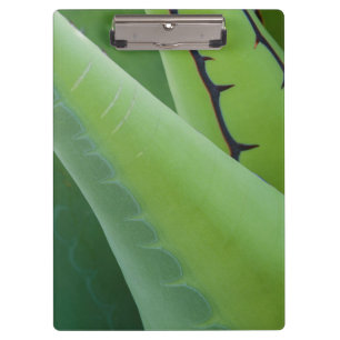 Porte-bloc Fermer l'agave