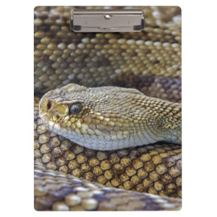 Porte-bloc Fermeture du serpent de bétail venimeux