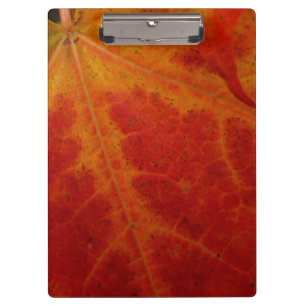Porte-bloc Feuille d'érable rouge Abstraite Automne Photograp