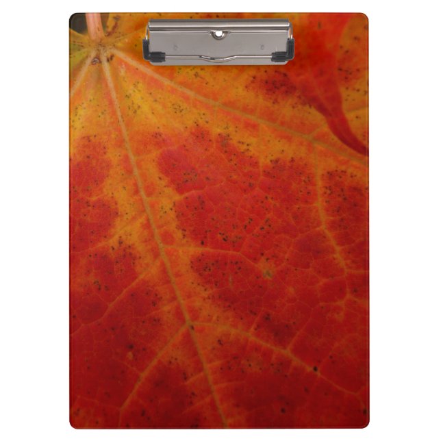 Porte-bloc Feuille d'érable rouge Abstraite Automne Photograp (Devant)