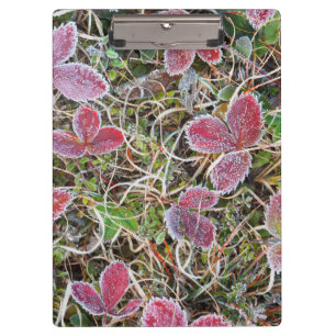 Porte-bloc Feuilles couvertes de givre, Canada