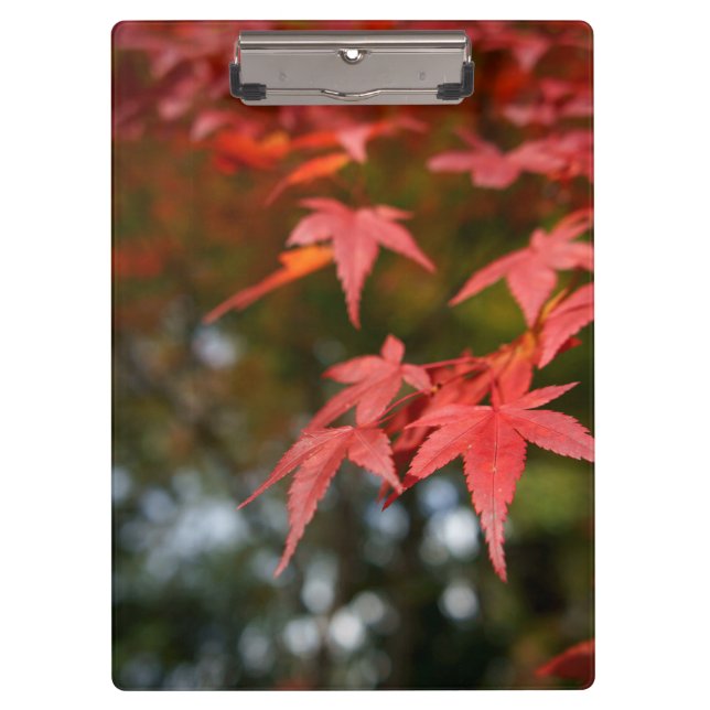 Porte-bloc Feuilles d'automne (Devant)