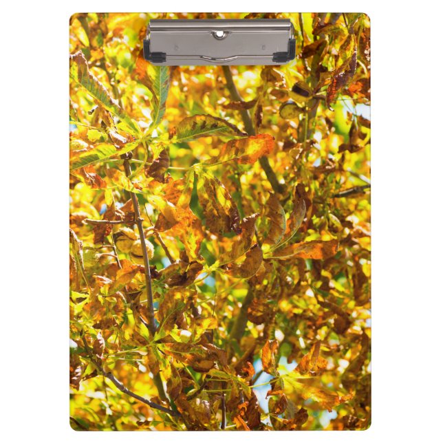 Porte-bloc Feuilles d'automne motif (Devant)