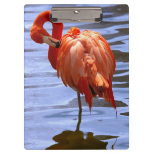 Porte-bloc Flamant rose sur une jambe dans l'eau