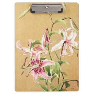 Porte-bloc Fleur Botanique d'Art de Lys Oriental Rose Vintage