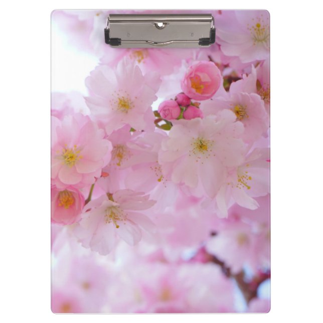 Porte-bloc Fleur de cerisiers (Devant)