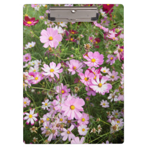 Porte-bloc Fleur de Cosmos (Bidens Formosa). Kirkwood