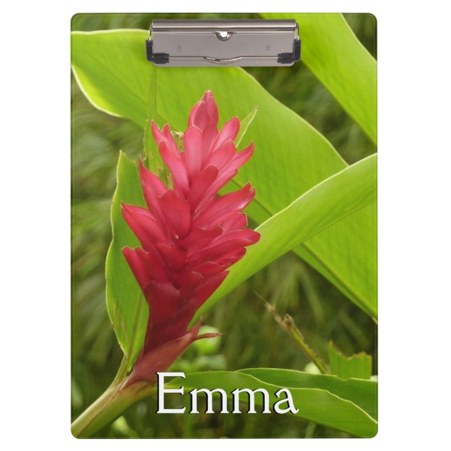 Porte-bloc Fleur de Gingembre Rouge (Alpinia) Tropicale (Devant)