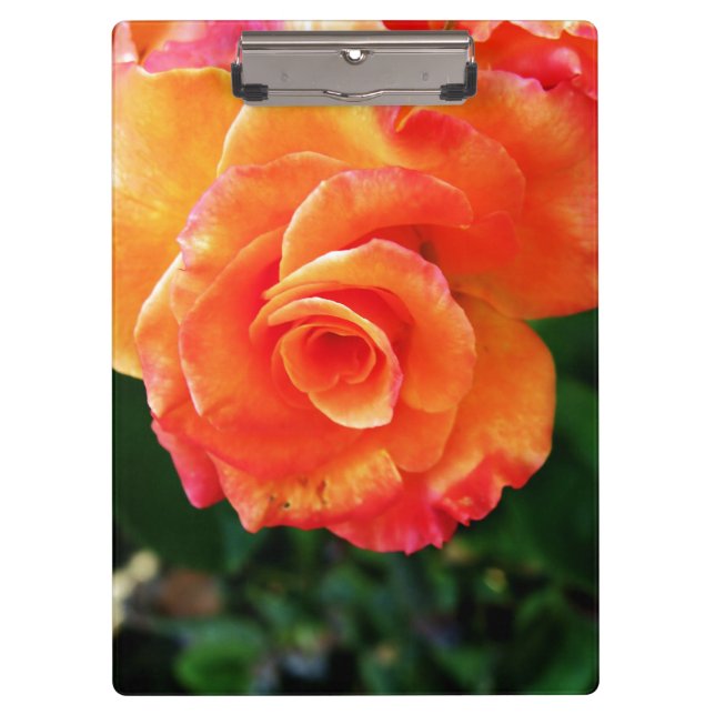 Porte-bloc Fleur de rose orange (Devant)