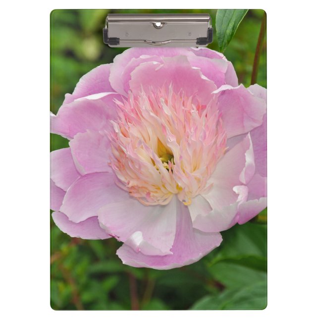 Porte-bloc Fleur de tourbe rose (Devant)