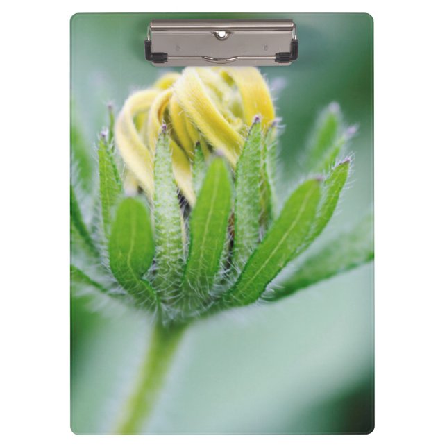 Porte-bloc Fleur D'Ouverture De La Fleur De Cône (Devant)