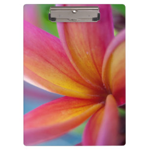 Porte-bloc Fleur Plumeria Tropicale Rose Profond Jaune Orange