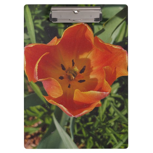 Porte-bloc fleur printanière rouge (Devant)