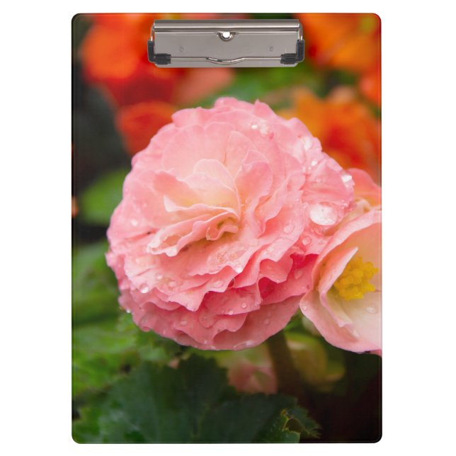 Porte-bloc Fleur rose délicate après la pluie (Devant)