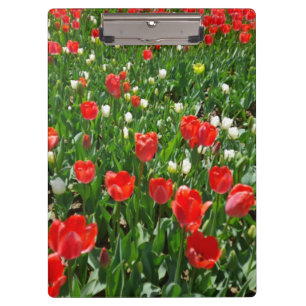 Porte-bloc Fleur rouge Tulip Photo