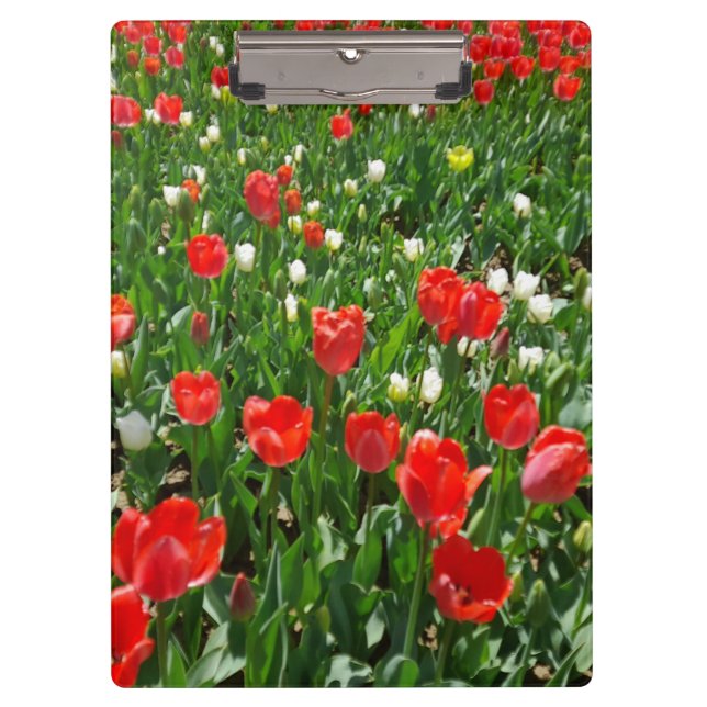Porte-bloc Fleur rouge Tulip Photo (Devant)