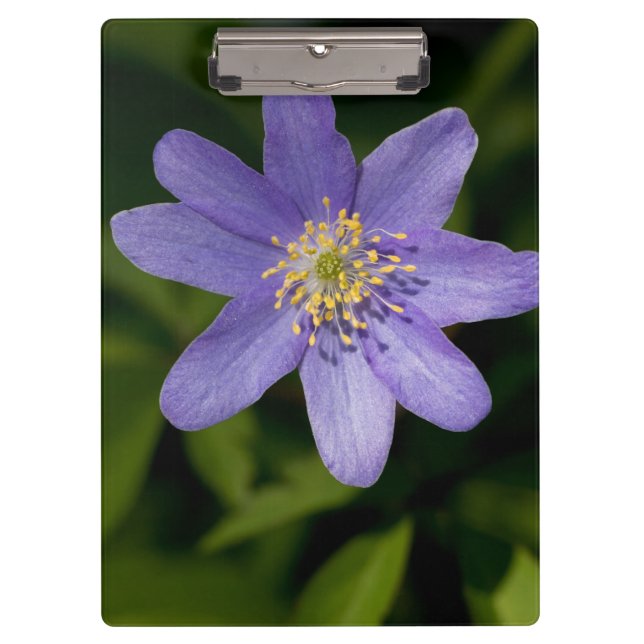 Porte-bloc Fleur sauvage (Devant)
