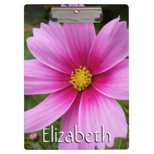 Porte-bloc Fleur sauvage de fleurs Cosmos roses