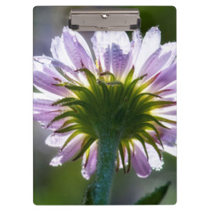 Porte-bloc Fleur sauvage violette rétro-éclairée avec des gou