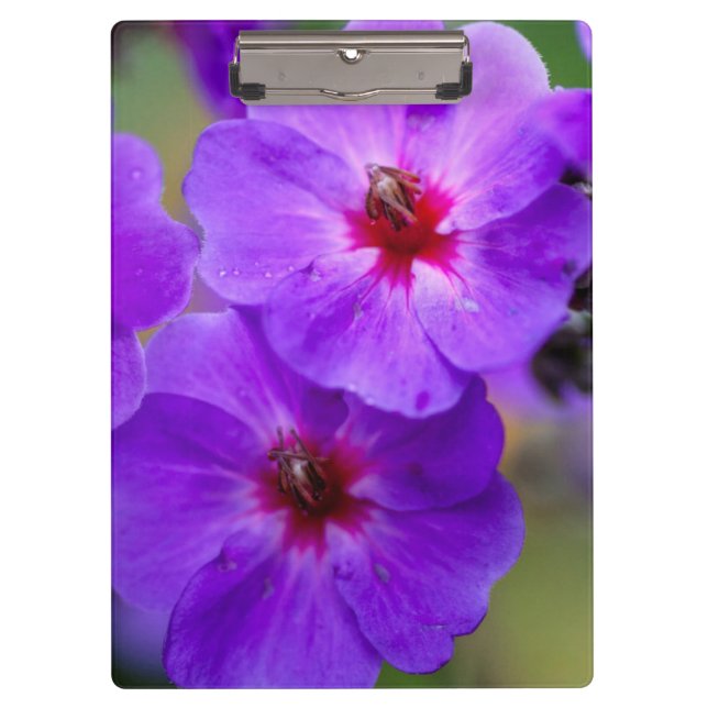 Porte-bloc Fleur violette (Devant)