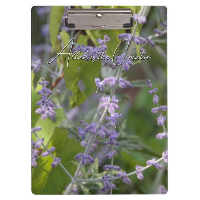 porte-bloc fleur violette jardin photographie beau (Devant)