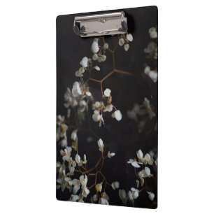 Porte-bloc Fleurs blanches lunatiques sur fond sombre