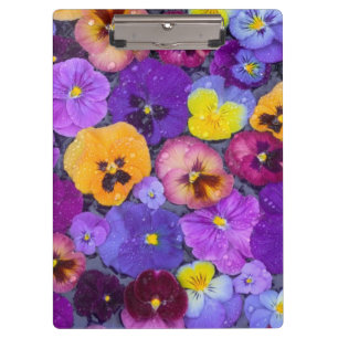 Porte-bloc Fleurs de pensée flottant dans un bain d'oiseaux a