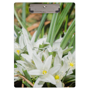 Porte-bloc Fleurs de printemps
