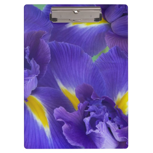Porte-bloc Fleurs d'iris (Devant)