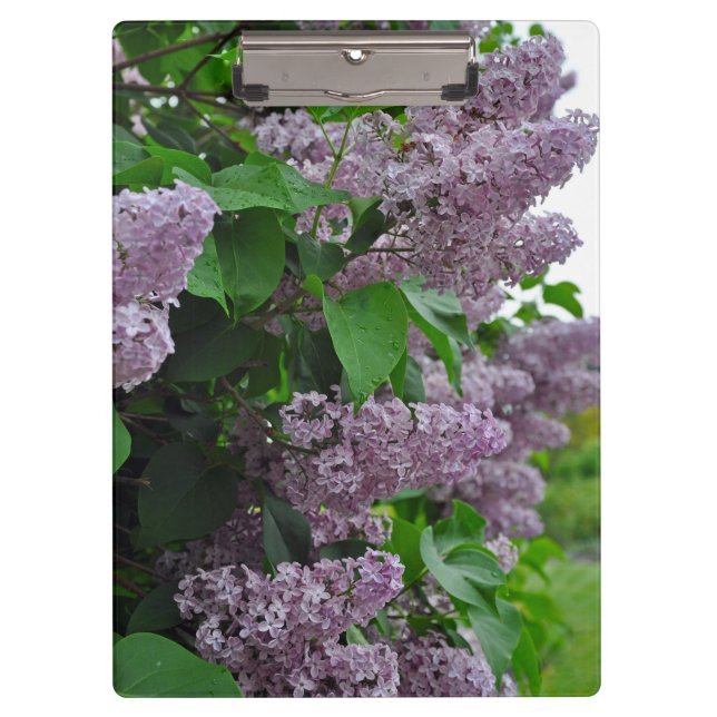 Porte-bloc Fleurs lilas de printemps pourpres (Devant)