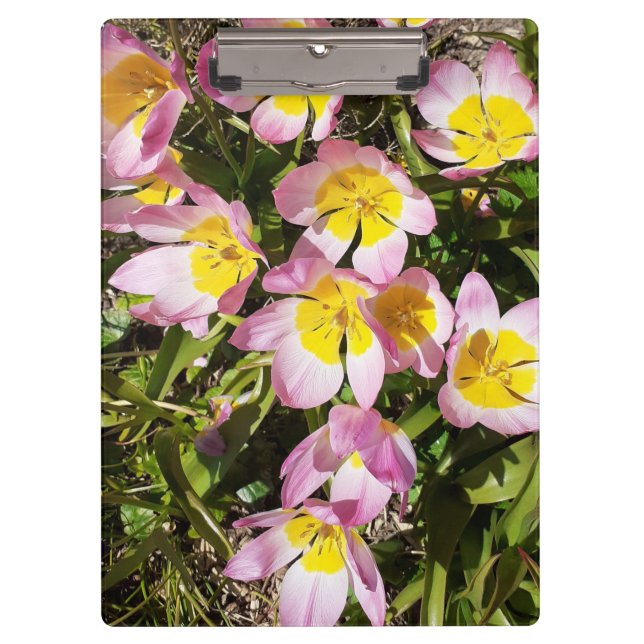 Porte-bloc Fleurs roses et jaunes (Devant)
