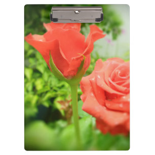 Porte-bloc Fleurs Roses romantiques