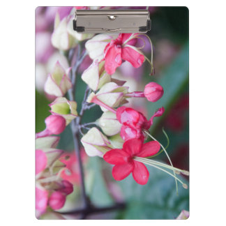 Porte-bloc Fleurs tropicales roses et blanches rouges