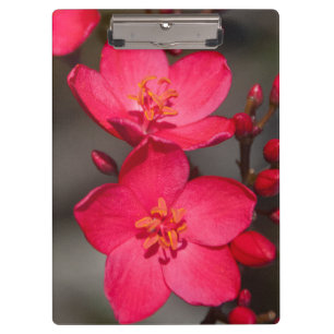 Porte-bloc Fleurs tropicales rouges et roses des Fidji