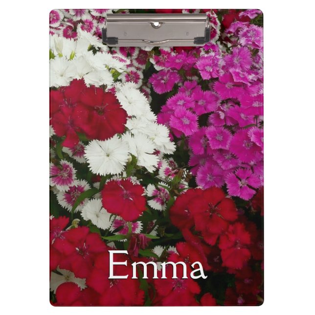 Porte-bloc Floral Dianthus blanc, rose et rouge (Devant)